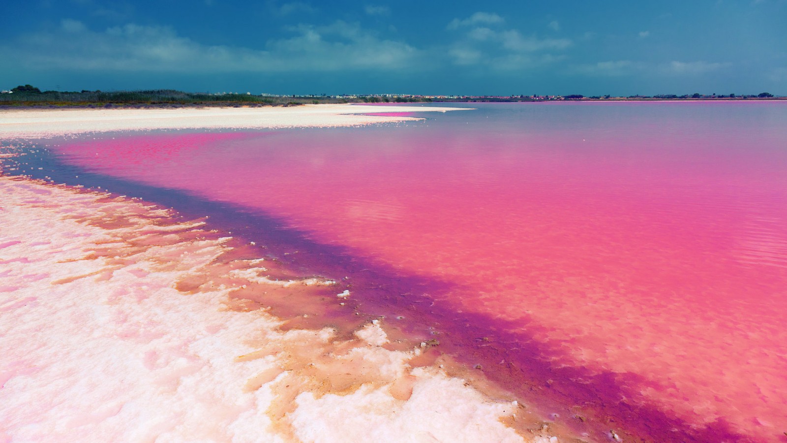 Torrevieja Les Lacs Roses Salés En Espagne