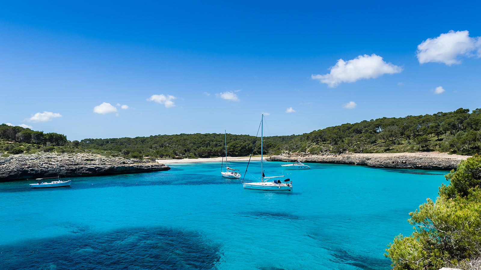 Le Spiagge Top Di Mallorca