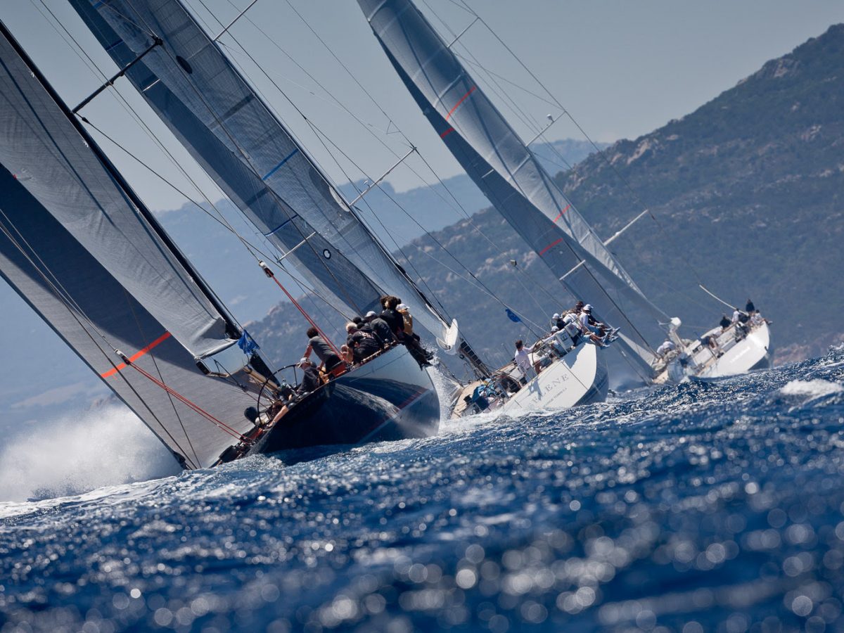 Loro piana discount regata