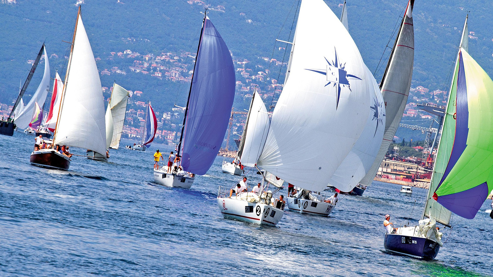 sailboat racing teamwork