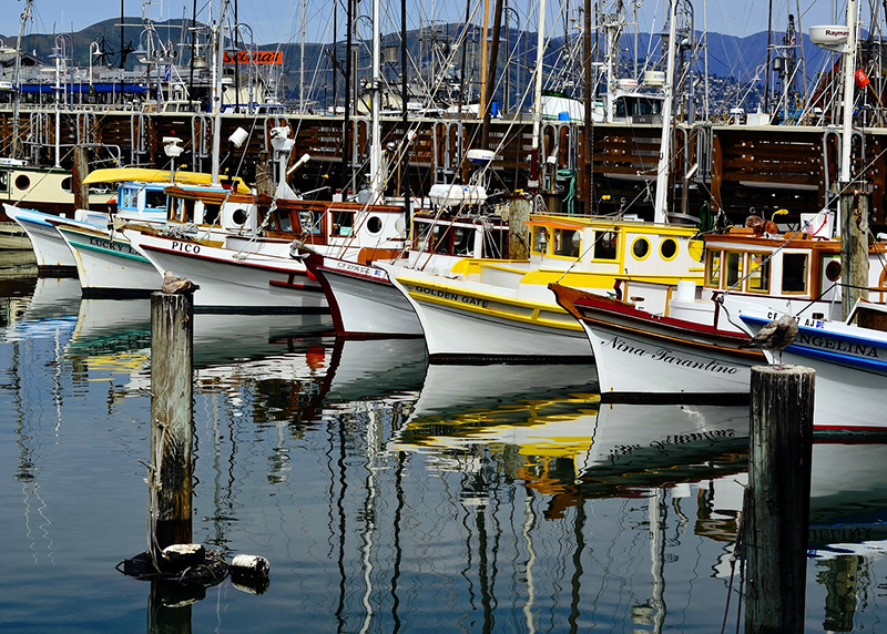 Boat Names Ideas Tips Discover The Best Boat Names