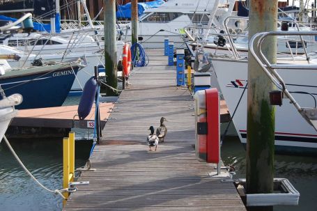 Tollesbury Marina Marina